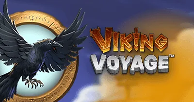 Viking Voyage